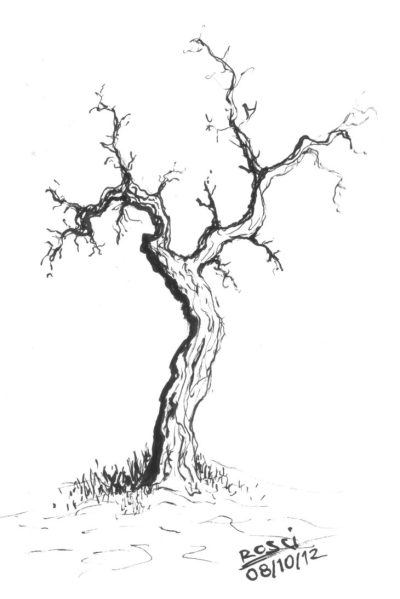 Dead Tree, Abandoned Habitat, Lifeless Bark, Withered Branches, Decaying Roots Drawing