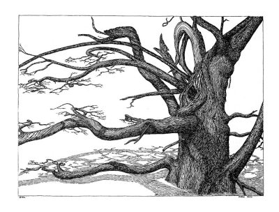 Dead Tree, Nature Decay, Ecosystem Changes, Lifeless Wood, Environmental Impact Drawing