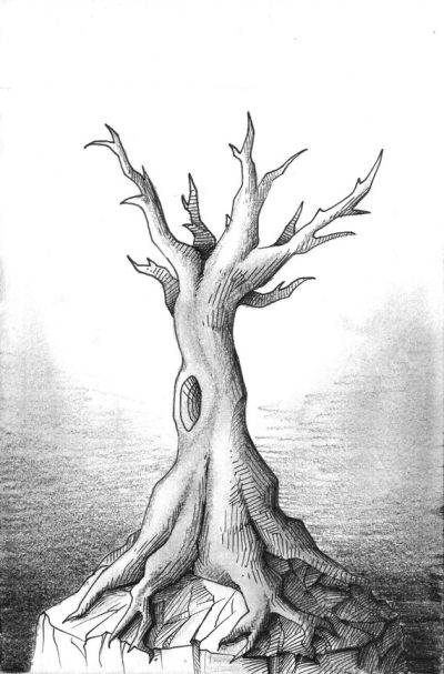 Dead Tree, Abandoned Habitat, Lifeless Bark, Withered Branches, Decaying Roots Drawing