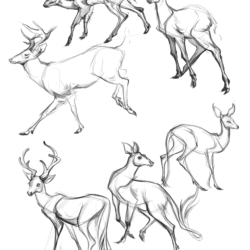 Deer Drawing Intricate Artwork