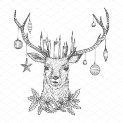 Deer Drawing Picture