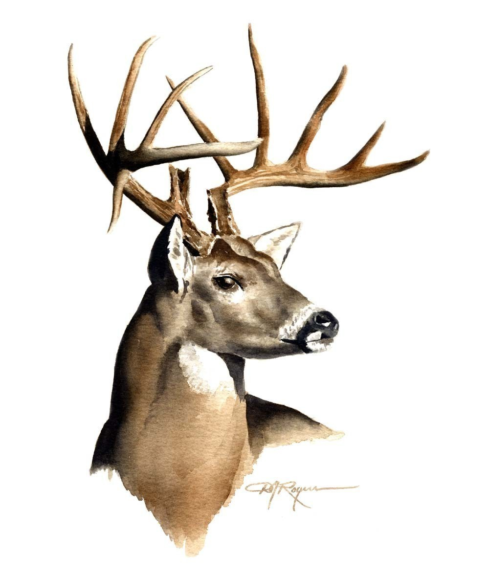 Deer Head Drawing Creative Style