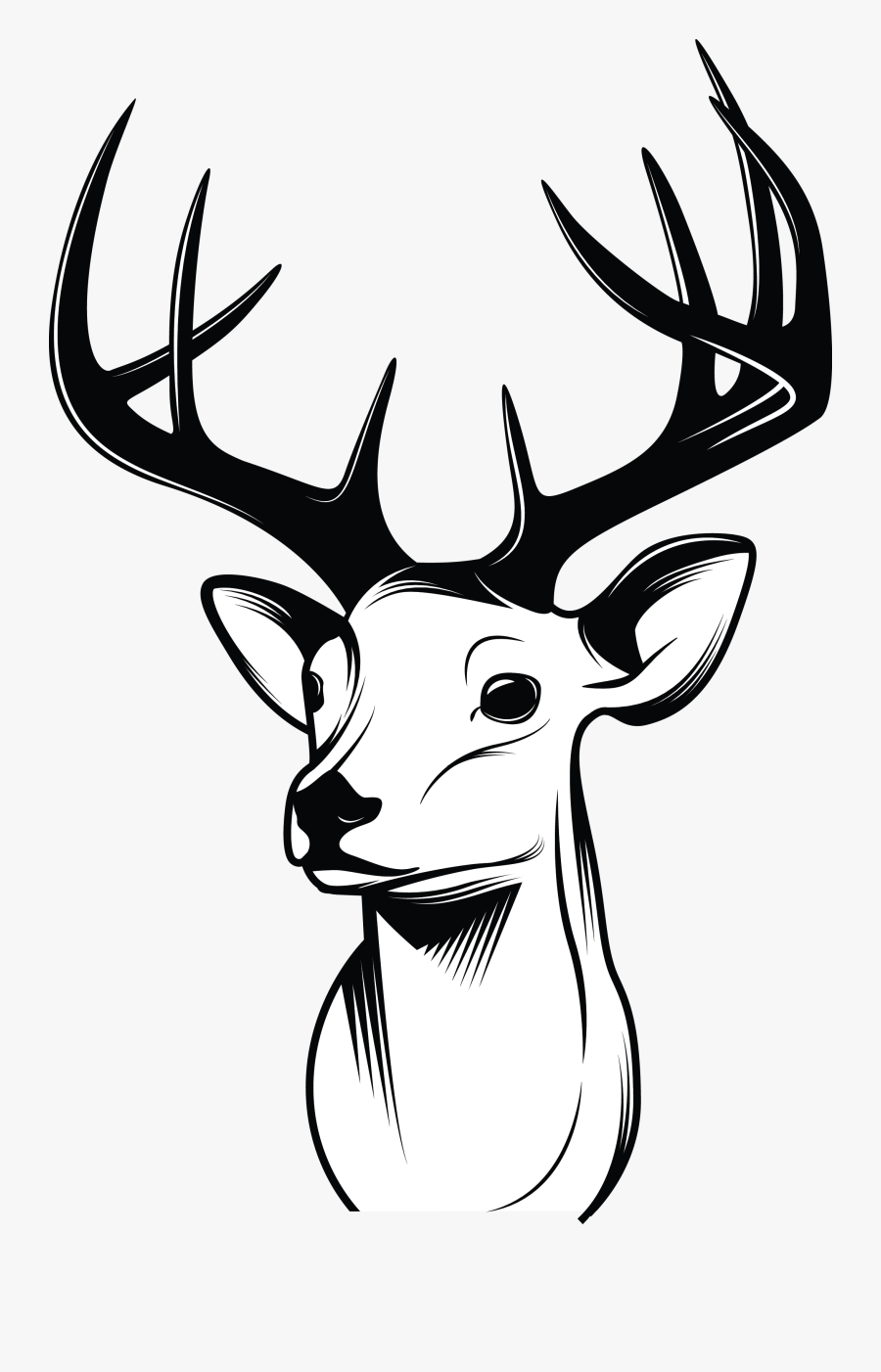 Deer Head Drawing Hand Drawn Sketch
