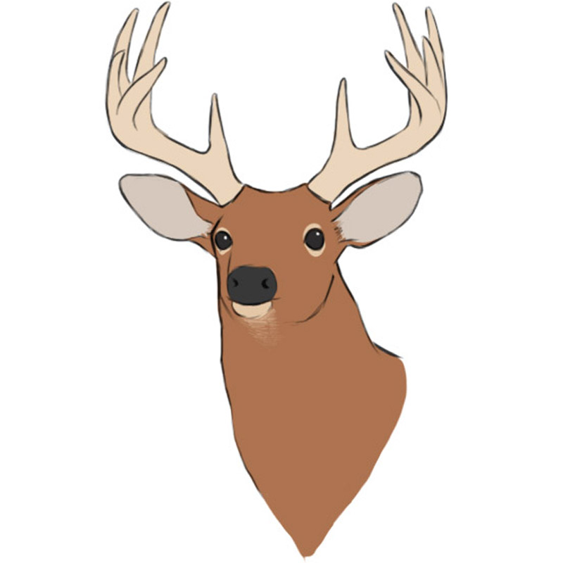 Deer Head Drawing Hand Drawn