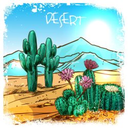 Desert Drawing Amazing Sketch