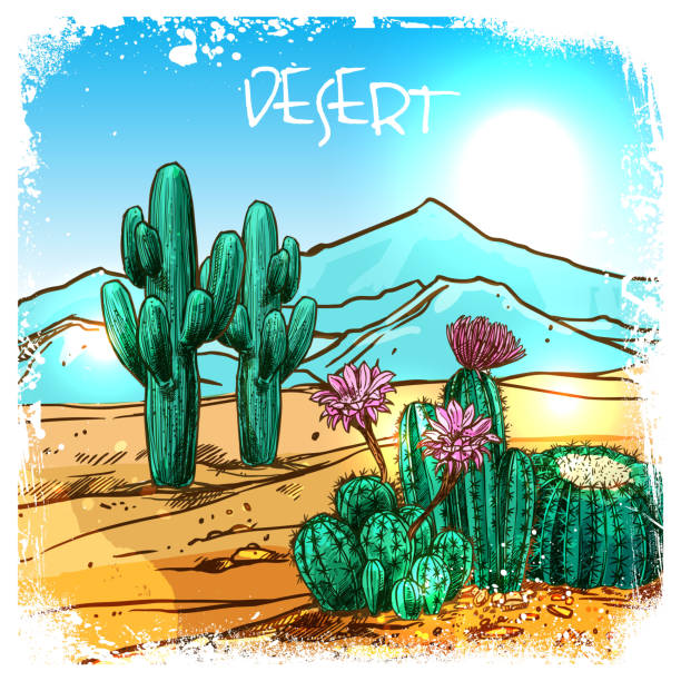 Desert Drawing Amazing Sketch