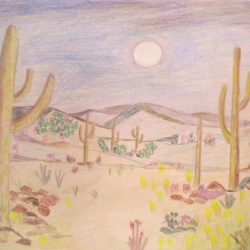 Desert Drawing Fine Art