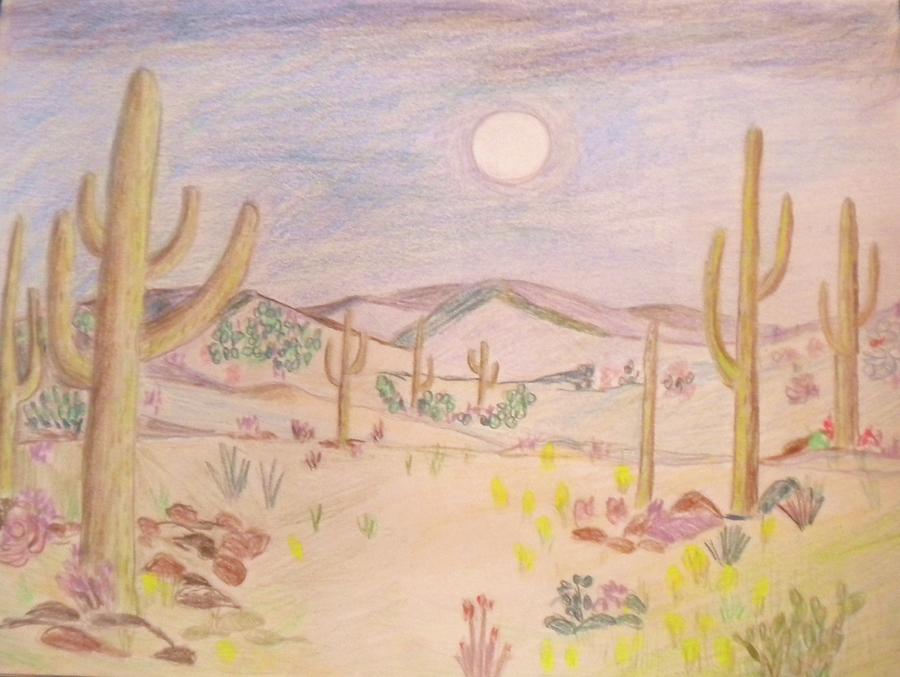 Desert Drawing Fine Art