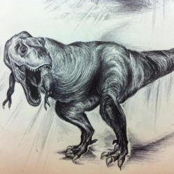 Dinosaur Kid Drawing Image