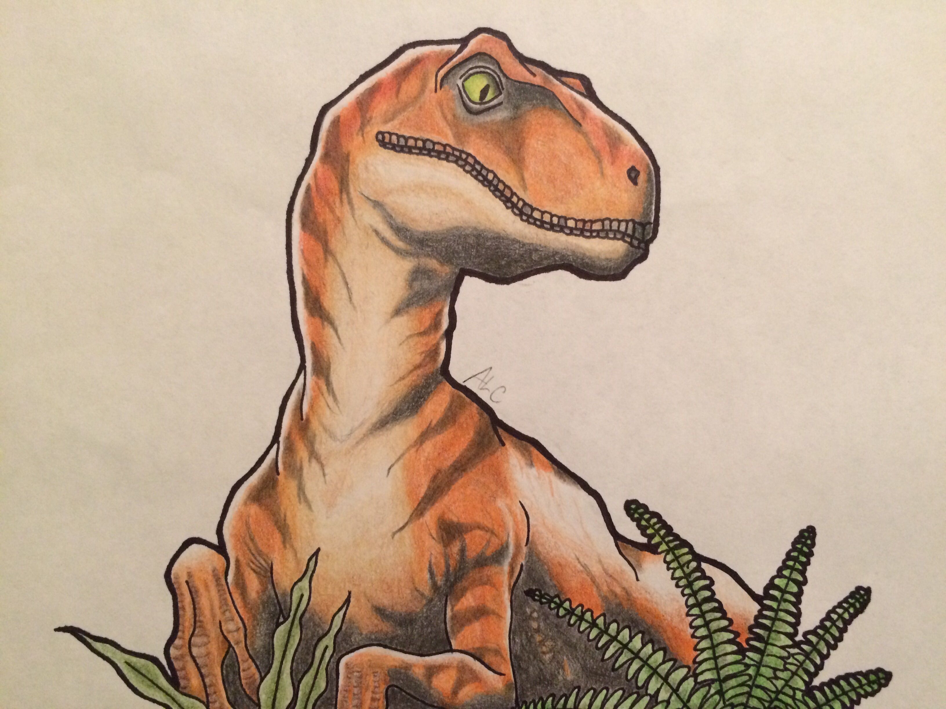 Dinosaur Kid Drawing