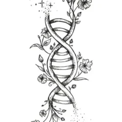 Dna Drawing Sketch