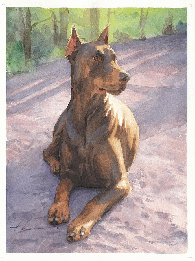 Doberman Drawing Amazing Sketch