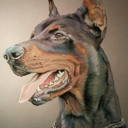 Doberman Drawing Intricate Artwork