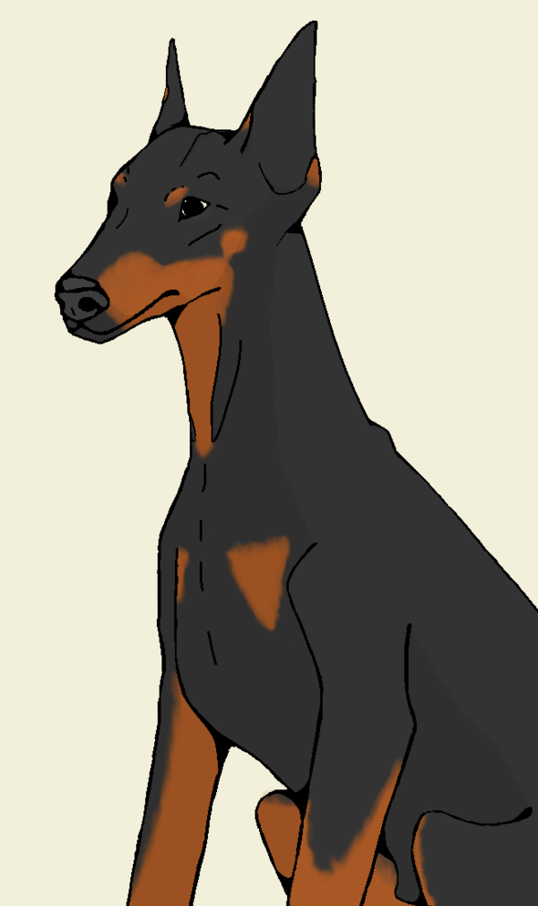 Doberman Drawing Modern Sketch