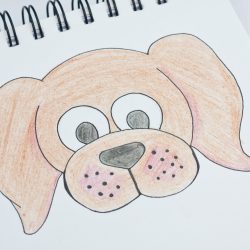 Dog Cartoon Drawing Artistic Sketching