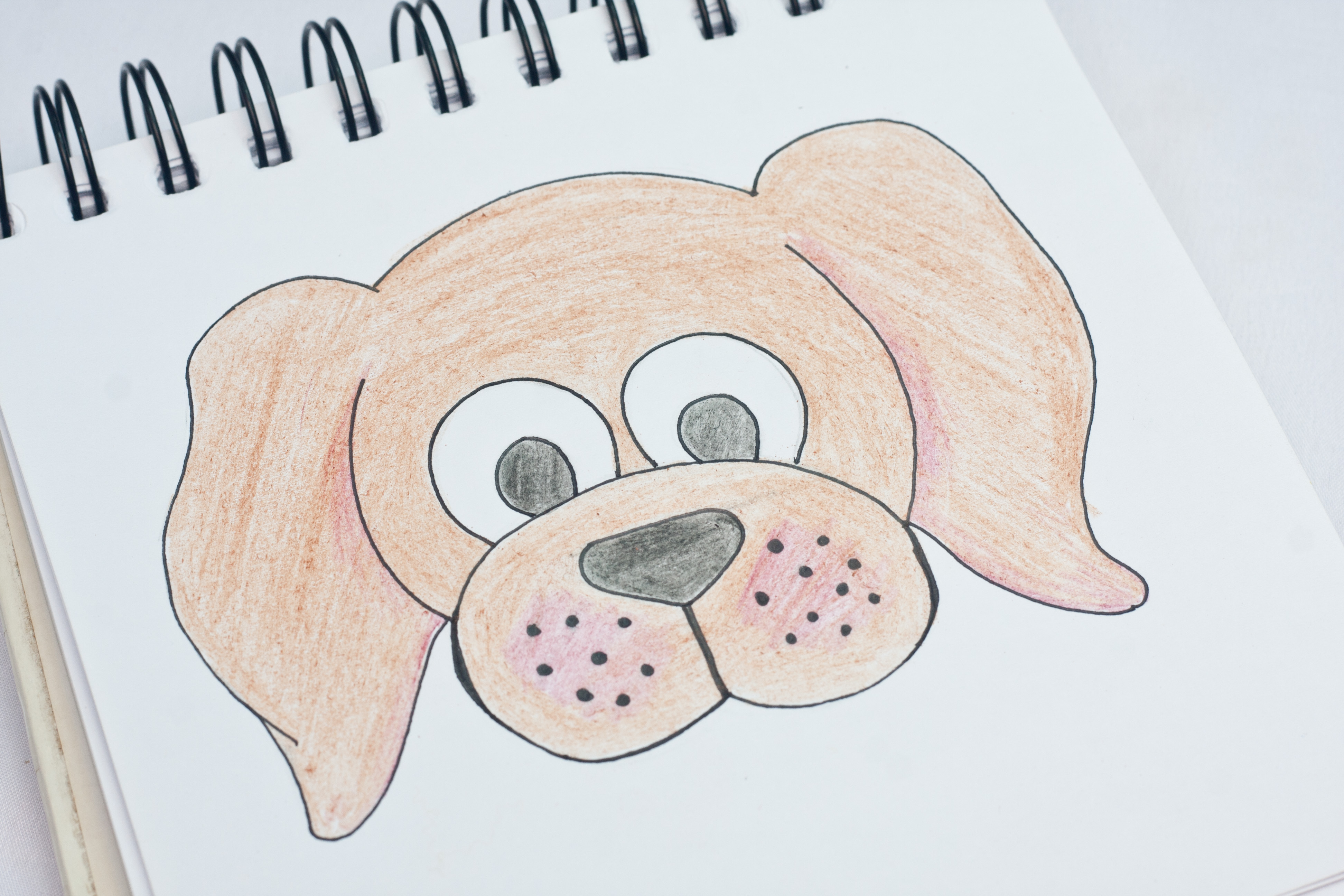 Dog Cartoon Drawing Artistic Sketching