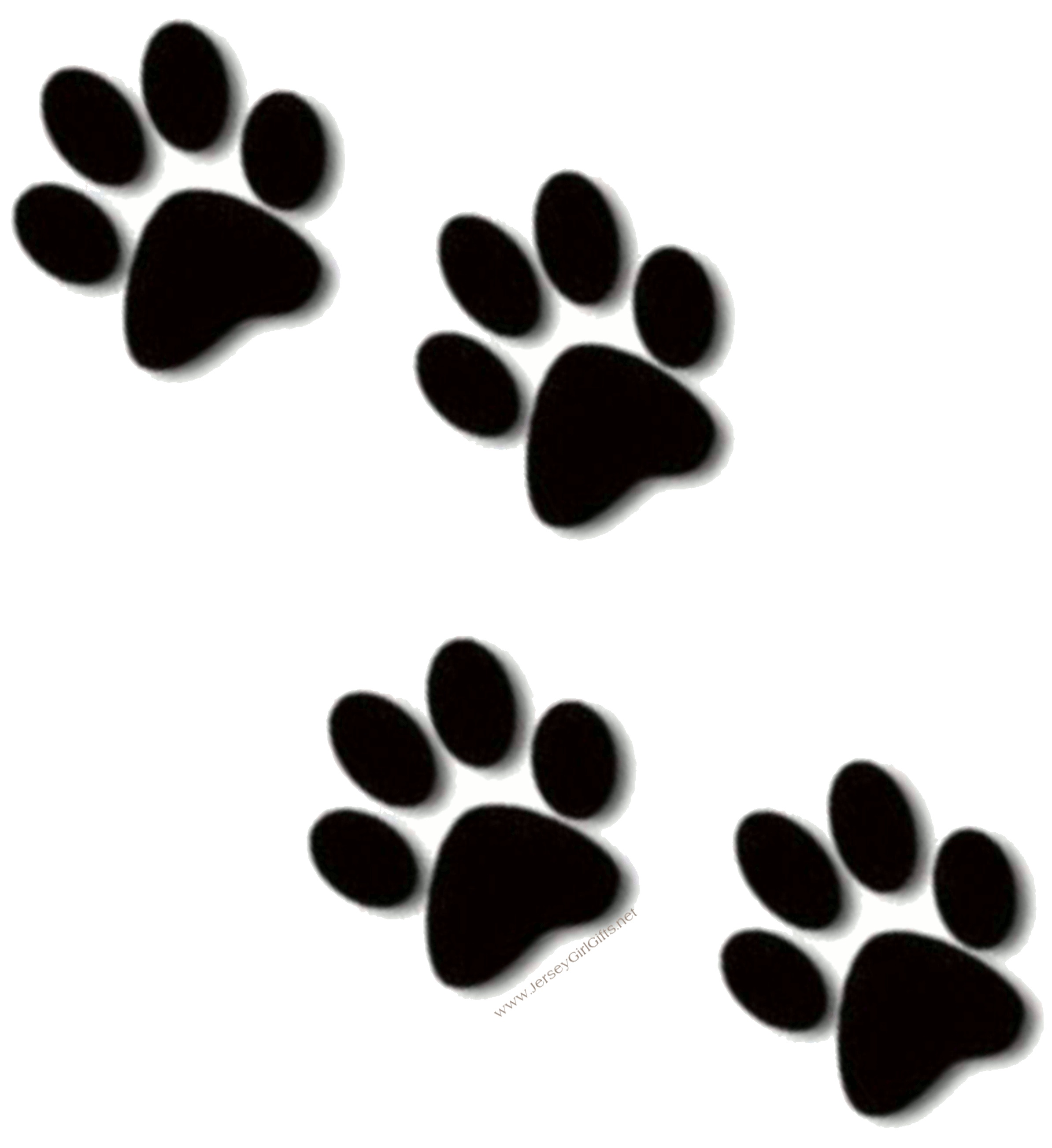 Dog Paw Drawing Art