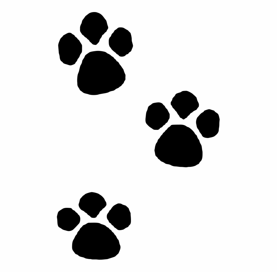 Dog Paw Drawing Artistic Sketching