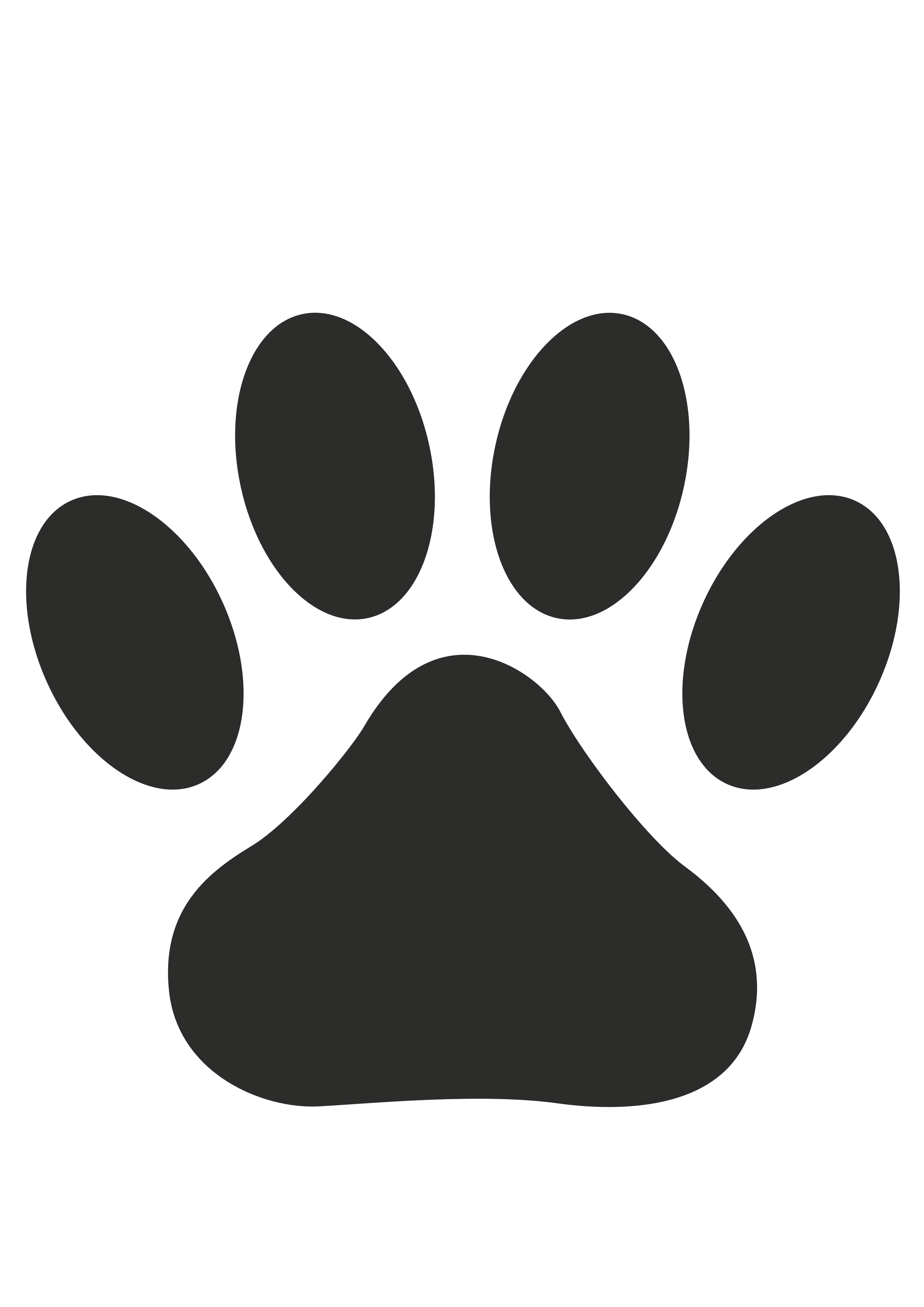 Dog Paw Drawing Realistic Sketch