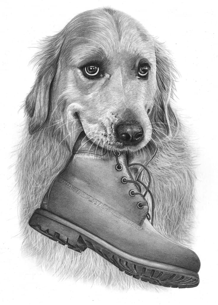 19 Dog Pencil Drawing Pencil, Sketch & Color Ideas Images - Drawing All
