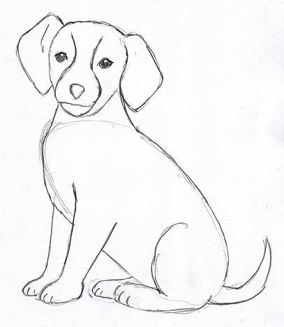 Dog Sitting Drawing Sketch