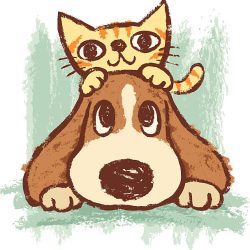 Dog and Cat Drawing Amazing Sketch