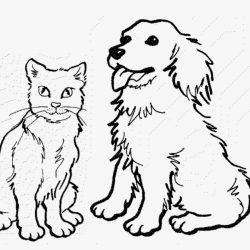 Dog and Cat Drawing Art