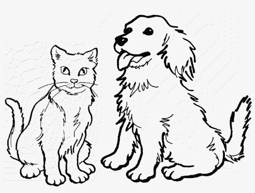 Dog and Cat Drawing Art