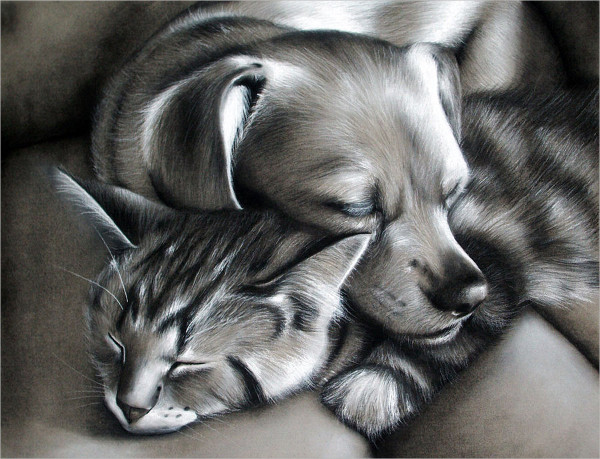 Dog and Cat Drawing Creative Style