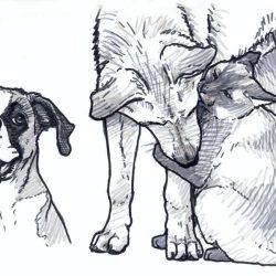 Dog and Cat Drawing Fine Art