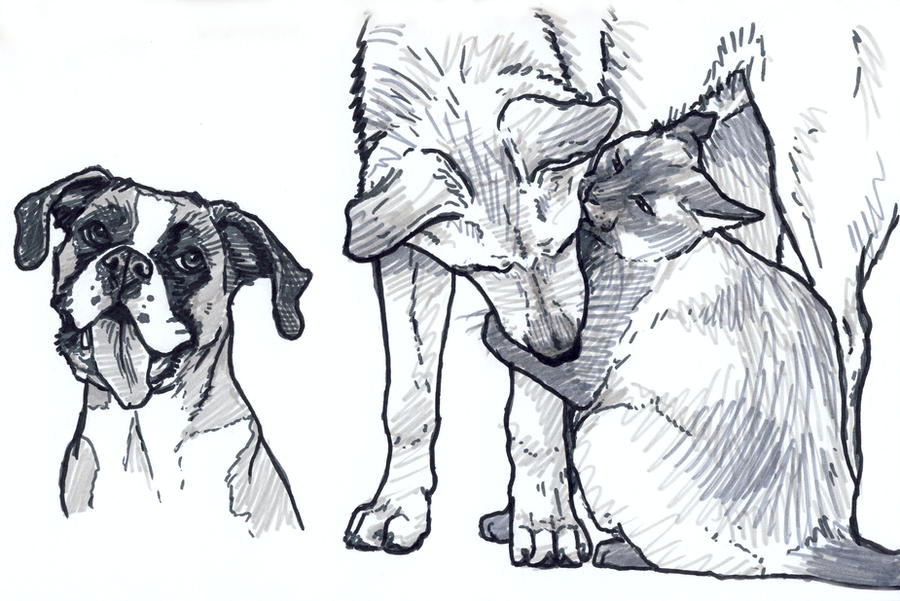 Dog and Cat Drawing Fine Art