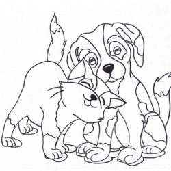 Dog and Cat Drawing Hand drawn