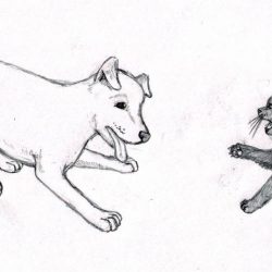 Dog and Cat Drawing Hand drawn Sketch