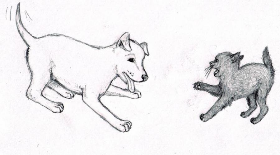 Dog and Cat Drawing Hand drawn Sketch