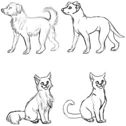 Dog and Cat Drawing Modern Sketch