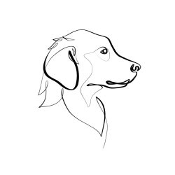 Dogs Line Drawing Hand drawn Sketch