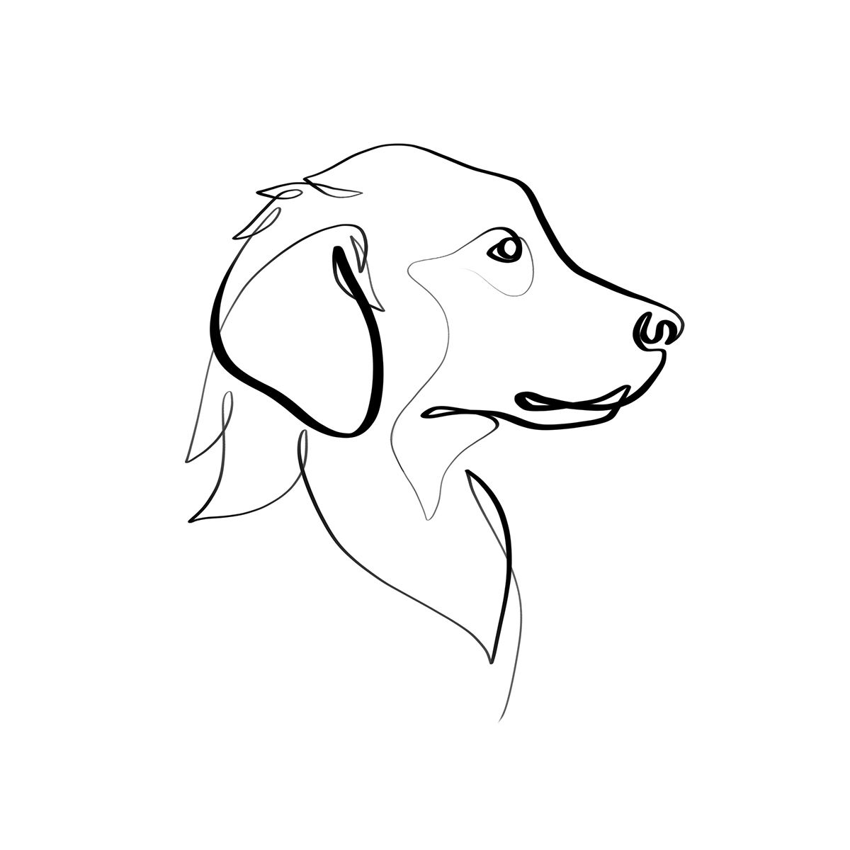 Dogs Line Drawing Hand drawn Sketch