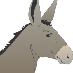 Donkey Drawing Realistic Sketch