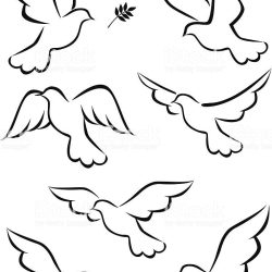 Dove Drawing Art