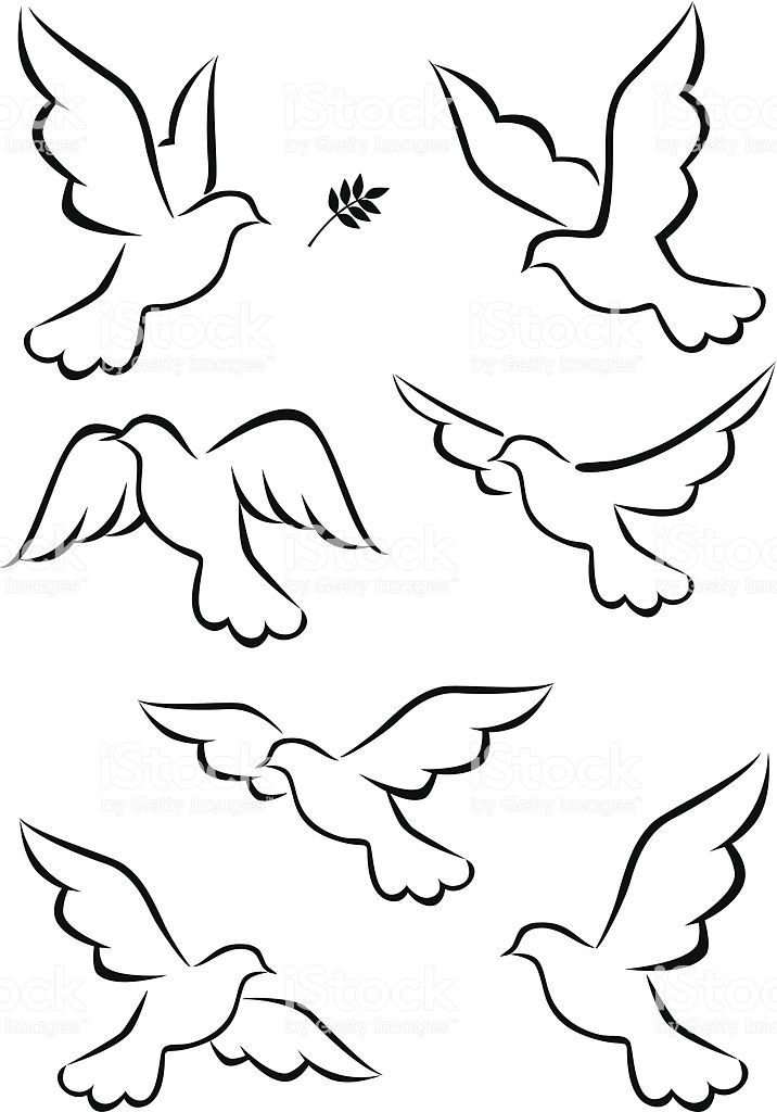 Dove Drawing Art
