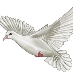 Dove Drawing Intricate Artwork