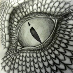 Dragon Eyes Drawing Amazing Sketch