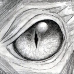 Dragon Eyes Drawing Artistic Sketching