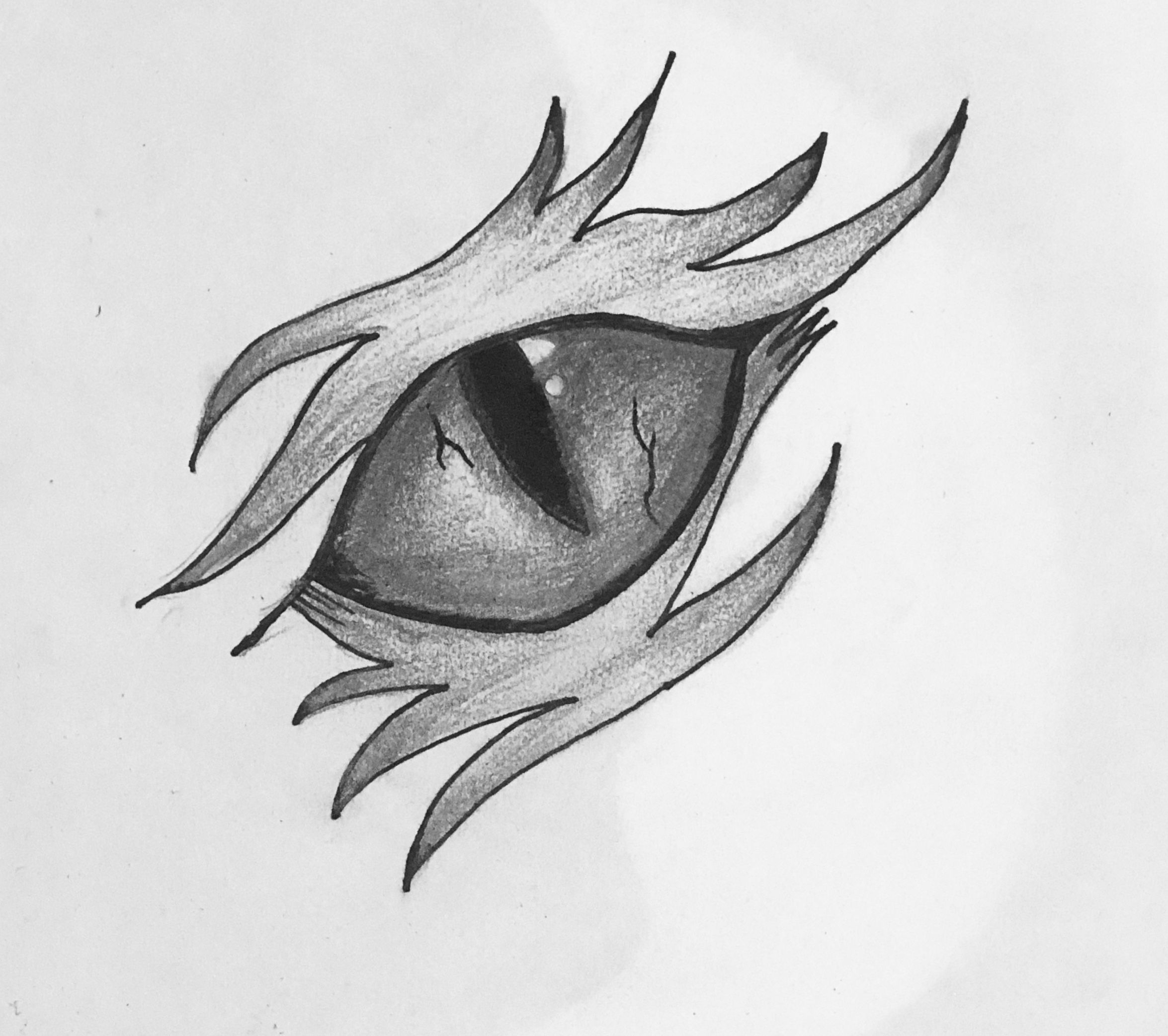 Dragon Eyes Drawing Detailed Sketch