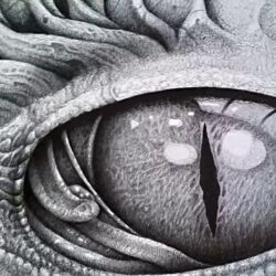 Dragon Eyes Drawing Hand Drawn