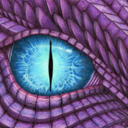 Dragon Eyes Drawing Intricate Artwork