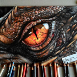 Dragon Eyes Drawing Professional Artwork