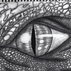 Dragon Eyes Drawing Sketch