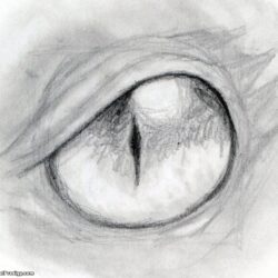 Dragon Eyes Drawing Stunning Sketch