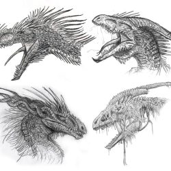 Dragon Face Drawing Amazing Sketch